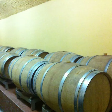 Dei Cipressi Wine Сона