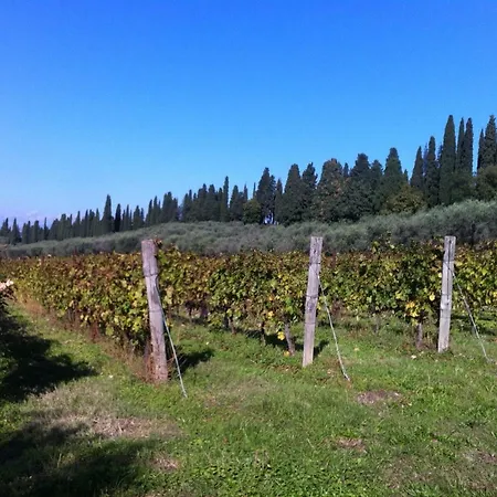 Dei Cipressi Wine 4* Sona