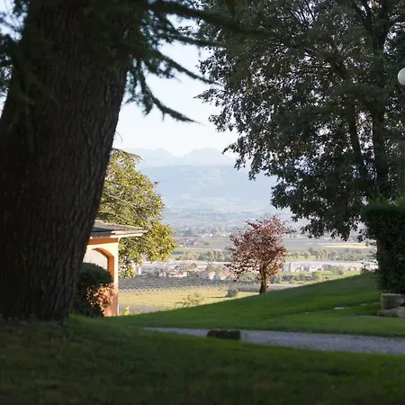 Dei Cipressi Wine Сона