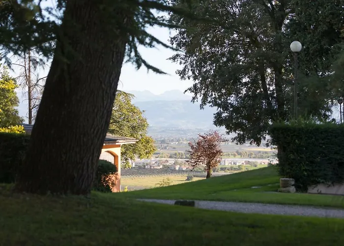 Dei Cipressi Wine Sona