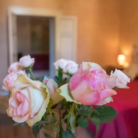 Dei Cipressi Wine Πανσιόν 4*