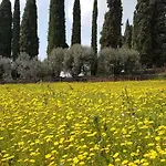 Dei Cipressi Wine 4*
