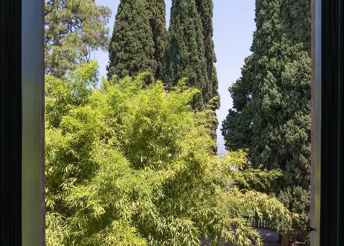 Dei Cipressi Wine سونا