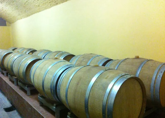 Dei Cipressi Wine سونا