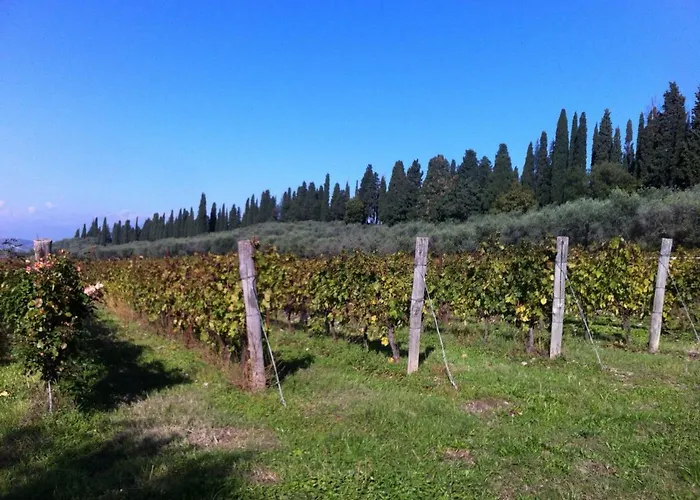 Dei Cipressi Wine 4* سونا